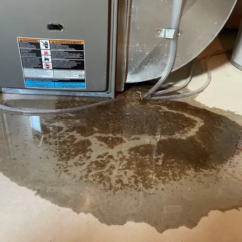 Appliance Leak Cleanup in Union Hill-Novelty Hill, WA